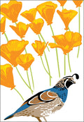 Rigel Print Quail and California Poppy