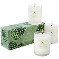 Roland Pine 3 candle votive set