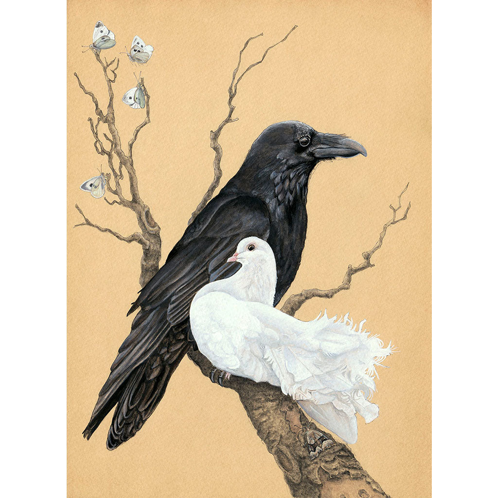 Raven and Dove print by Amy Rose Moore.  From original watercolor, gouache and ink painting.